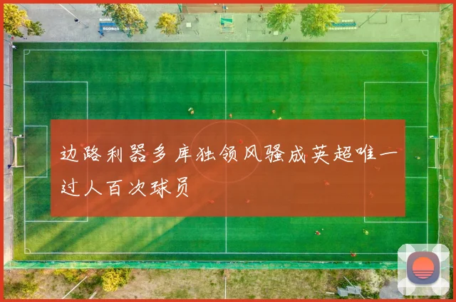 边路利器多库独领风骚成英超唯一过人百次球员