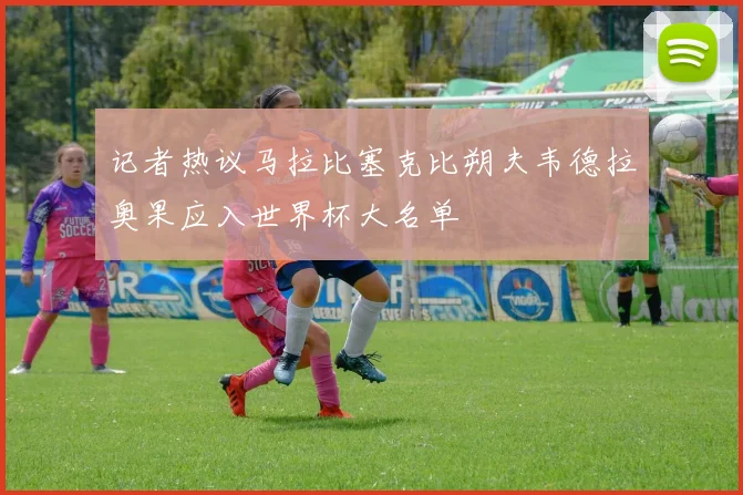 记者热议马拉比塞克比朔夫韦德拉奥果应入世界杯大名单